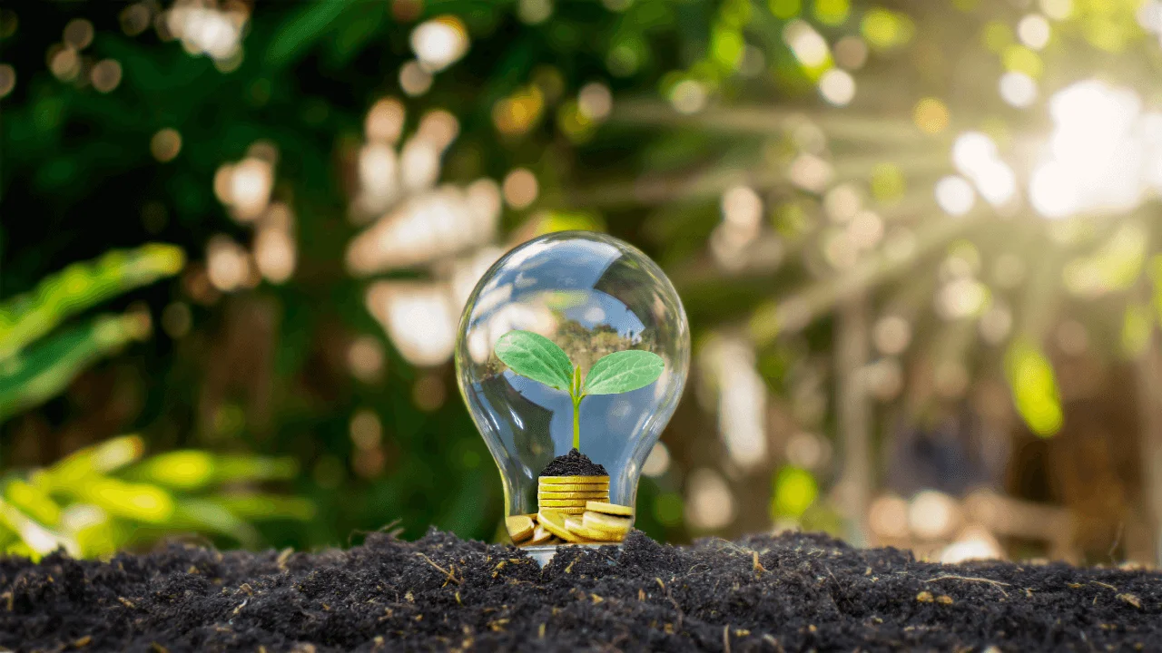 Renewable Energy Feasibility Studies
